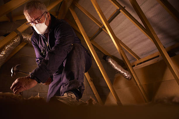 Best Types of Insulation in Makawao, HI